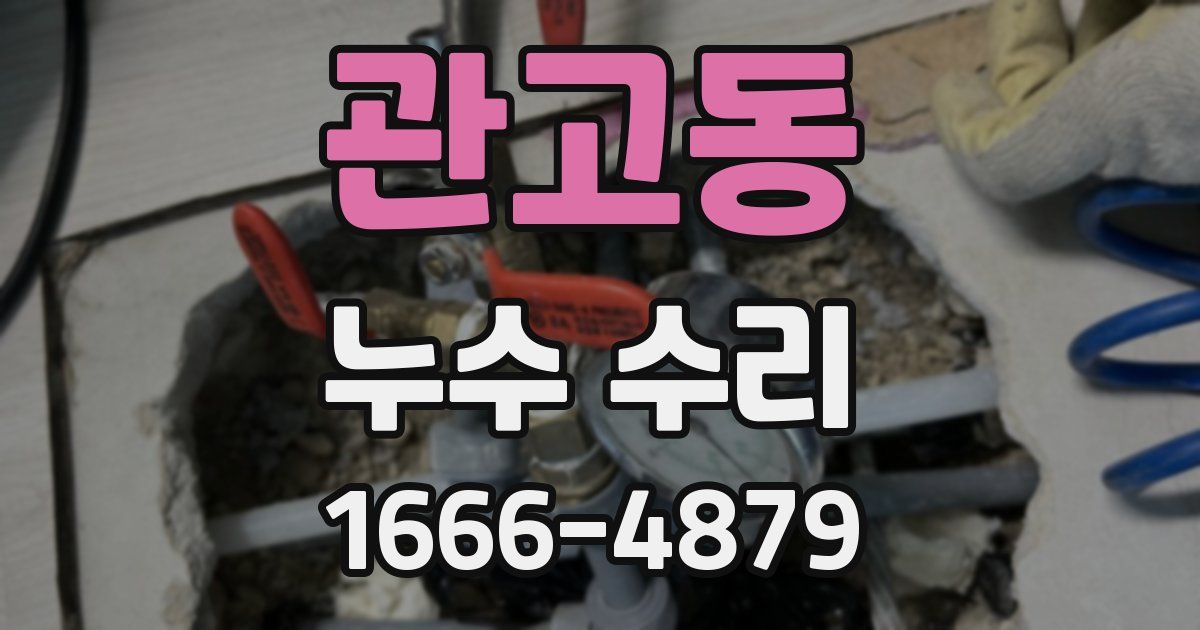 관고동 누수 수리