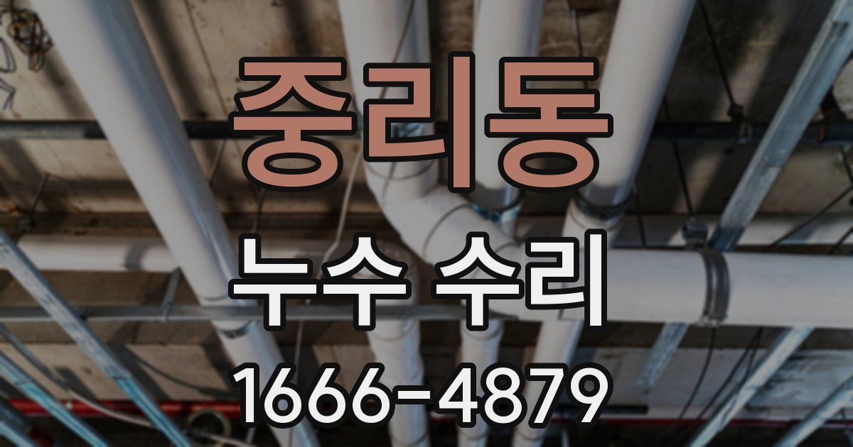 중리동 누수 수리