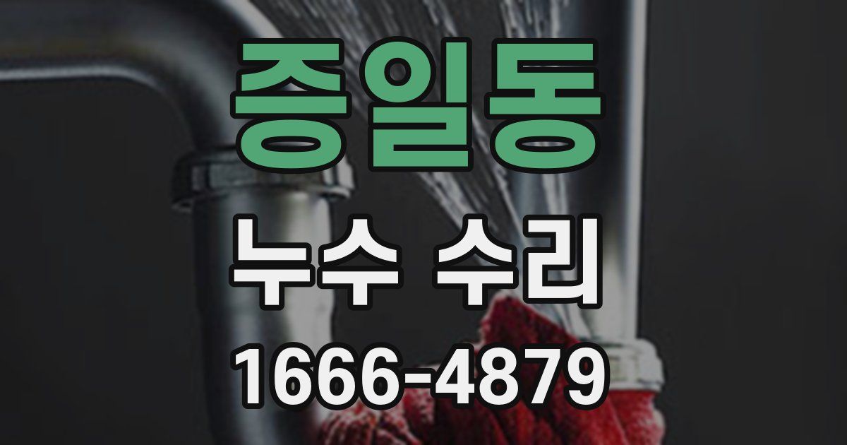 증일동 누수 수리