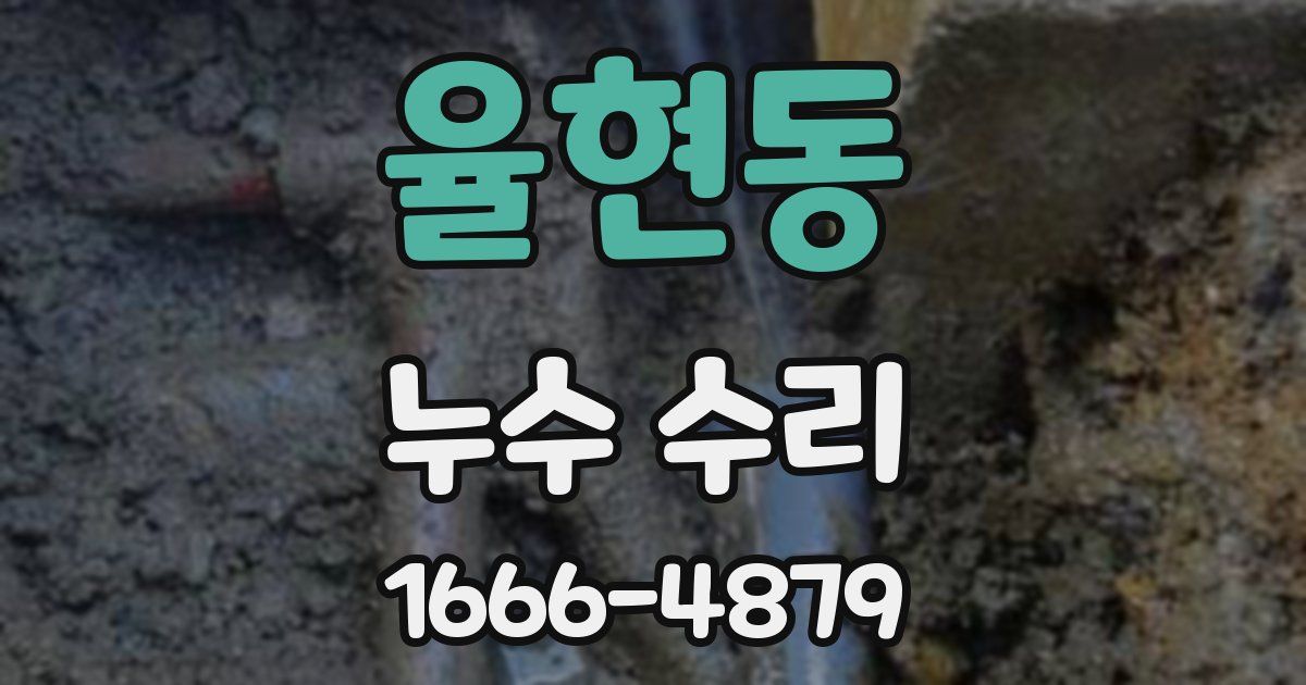 율현동 누수 수리