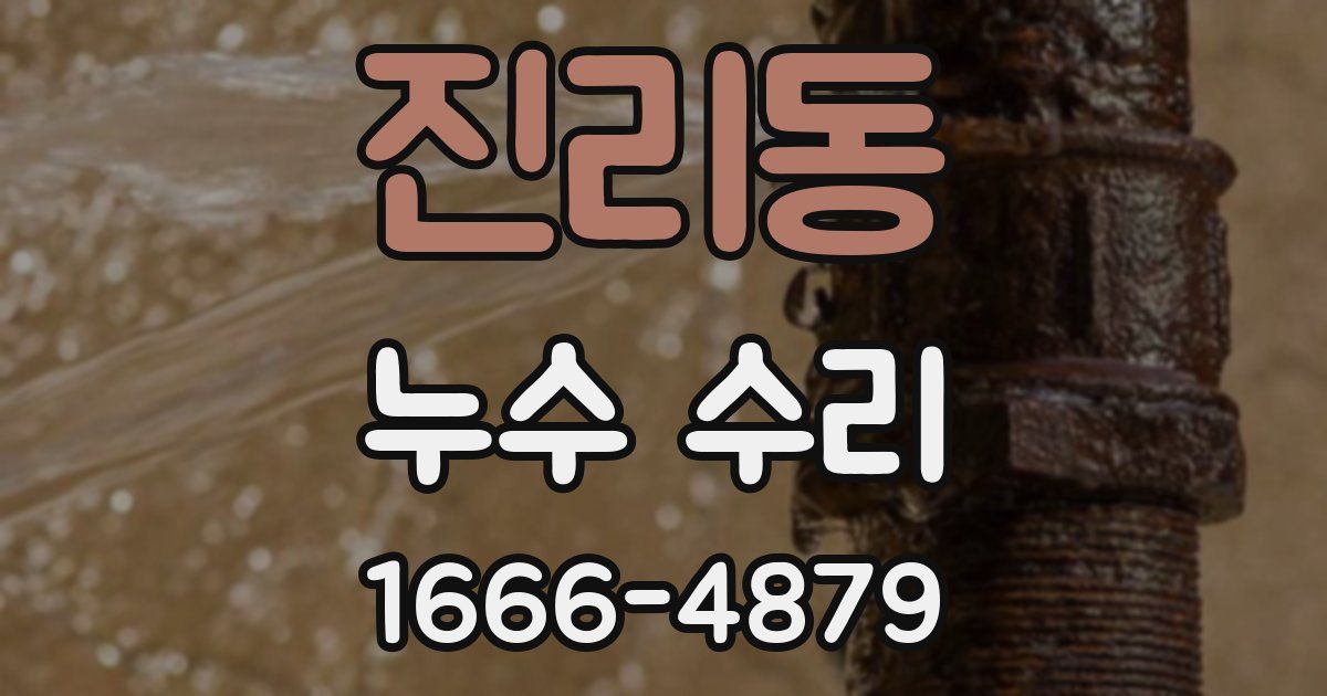 진리동 누수 수리
