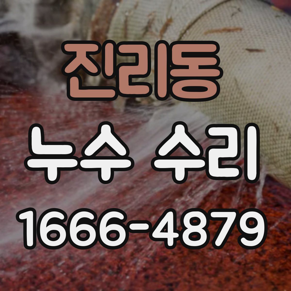 진리동 누수 수리