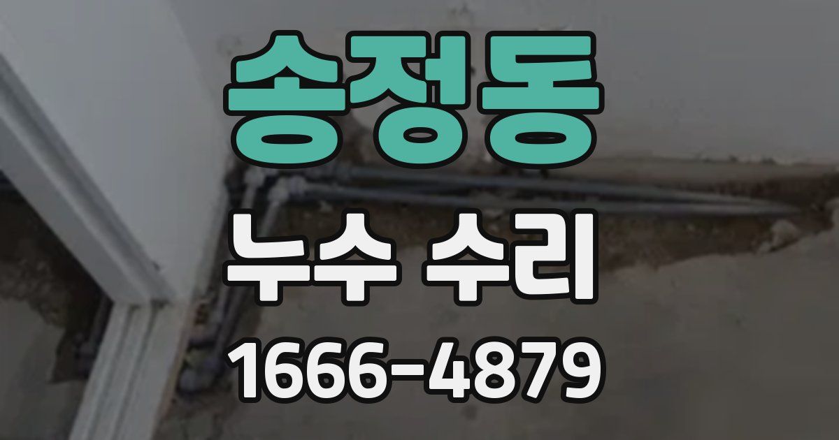 송정동 누수 수리