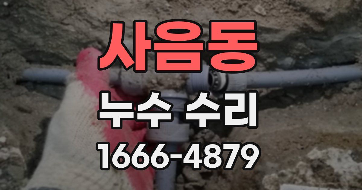 사음동 누수 수리