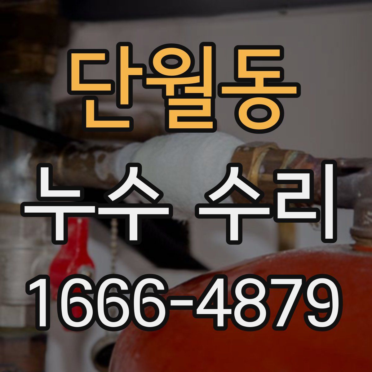 단월동 누수 수리