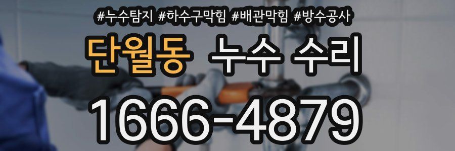 단월동 누수 수리
