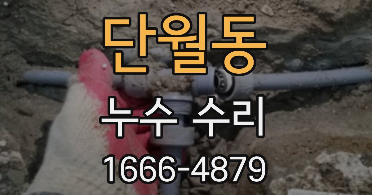 단월동 누수 수리