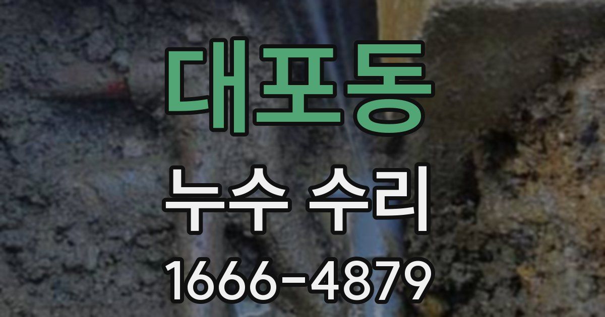 대포동 누수 수리