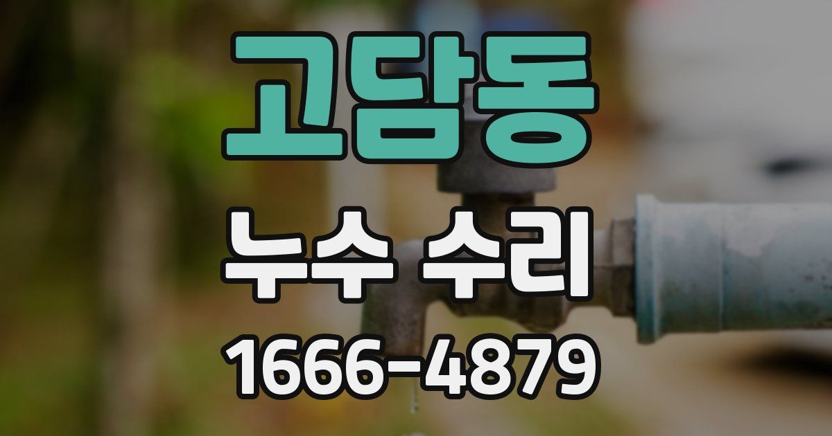고담동 누수 수리