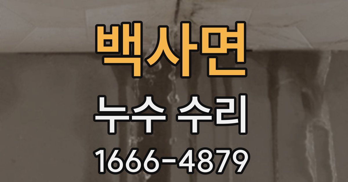 백사면 누수 수리