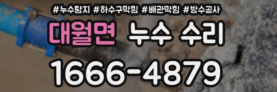 대월면 누수 수리