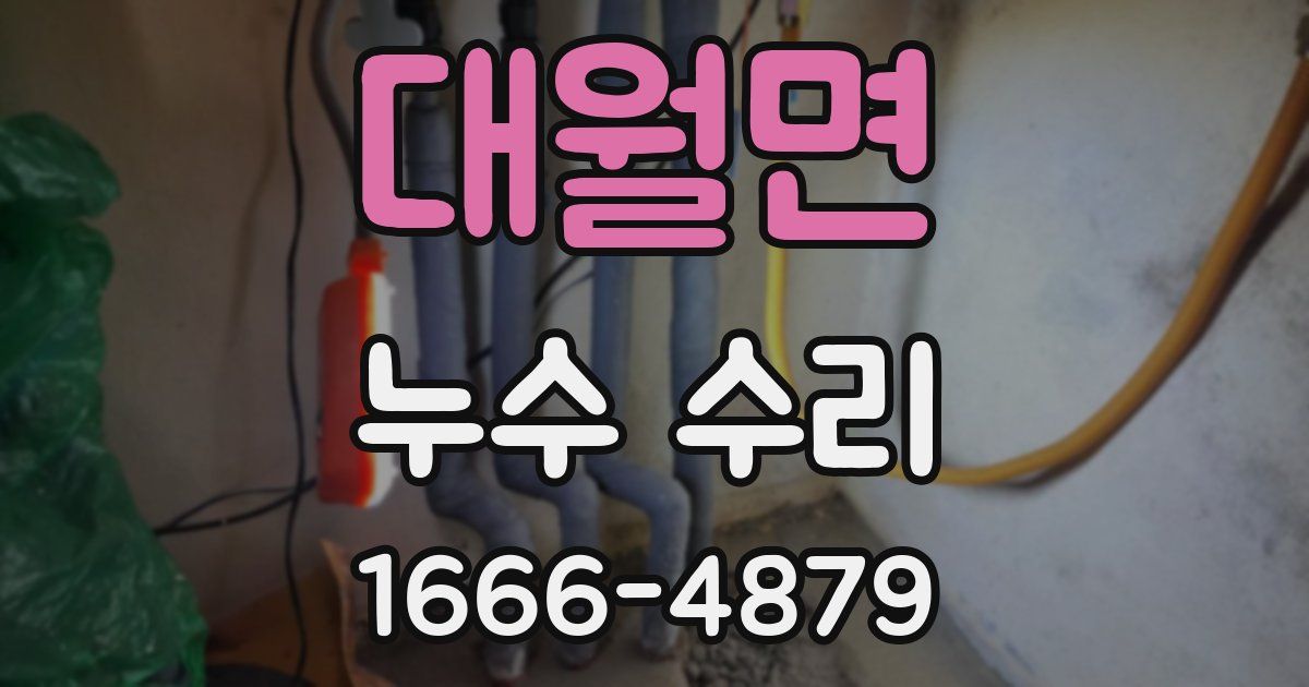 대월면 누수 수리