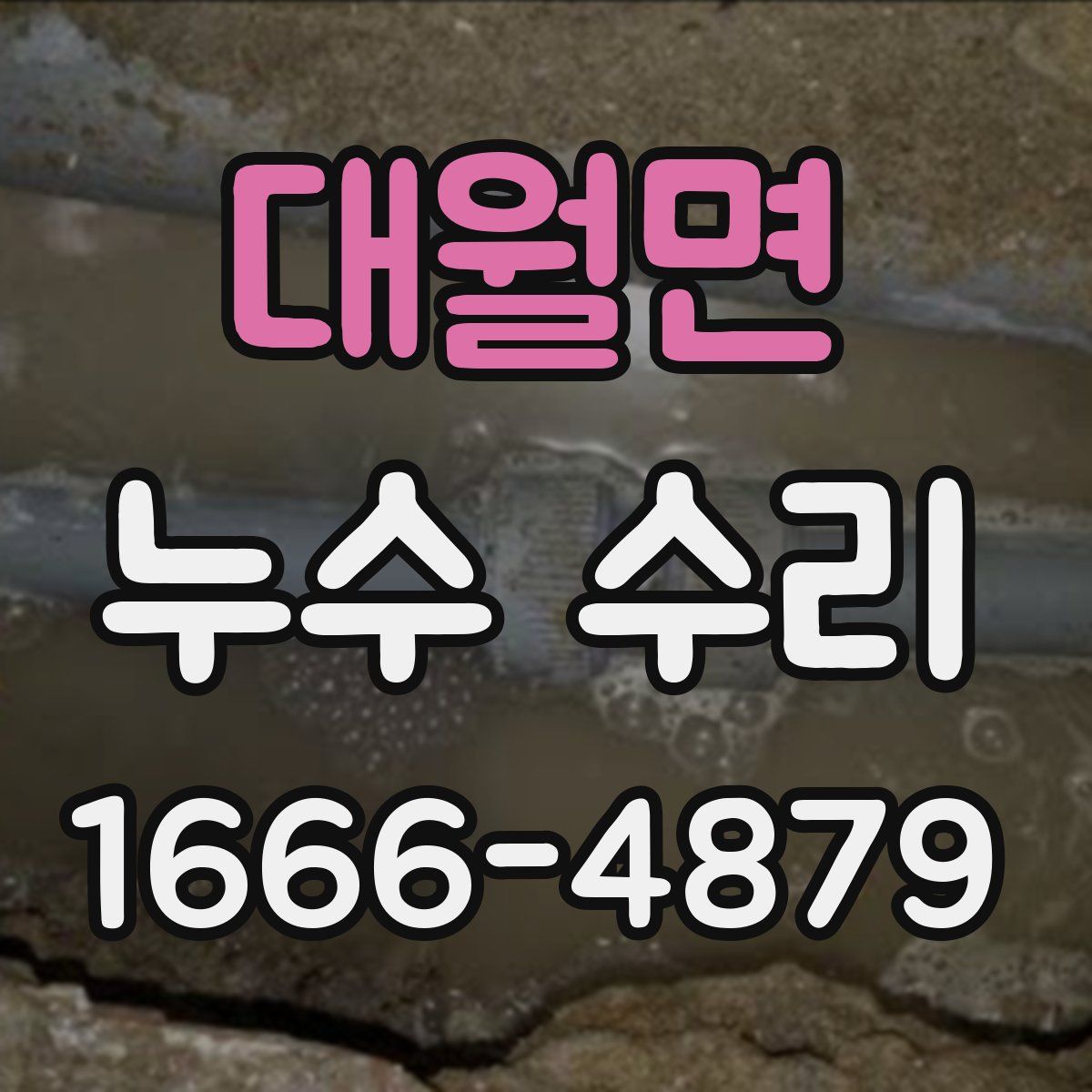 대월면 누수 수리