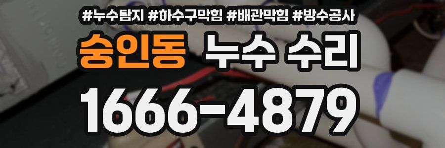 숭인동 누수 수리