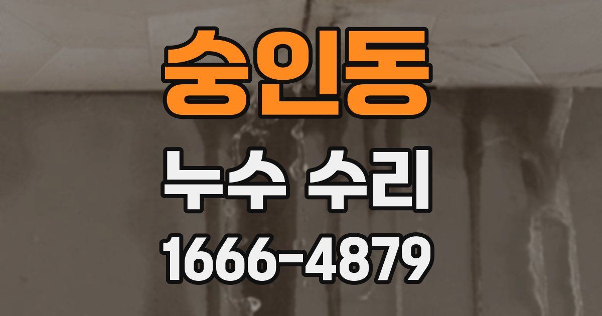 숭인동 누수 수리
