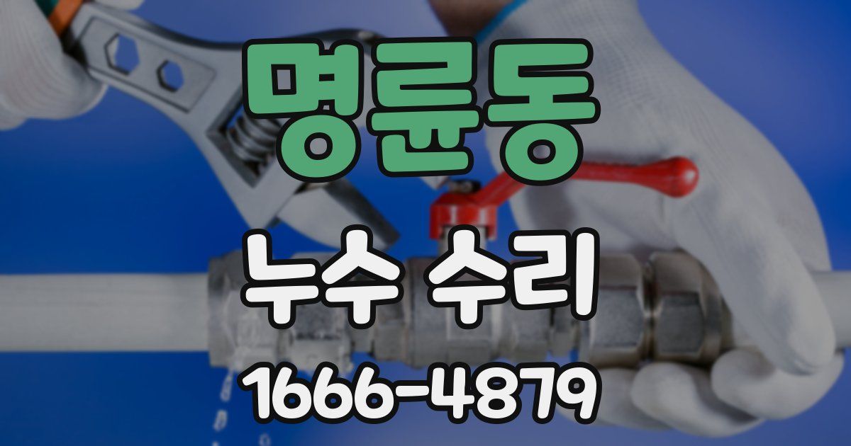 명륜동 누수 수리