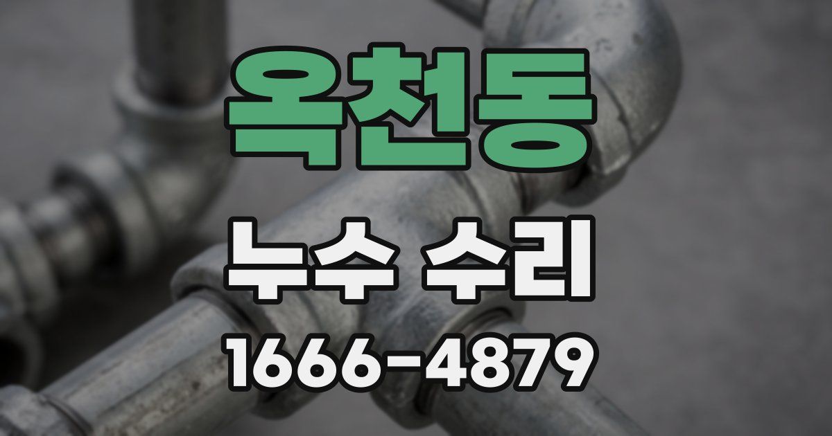 옥천동 누수 수리