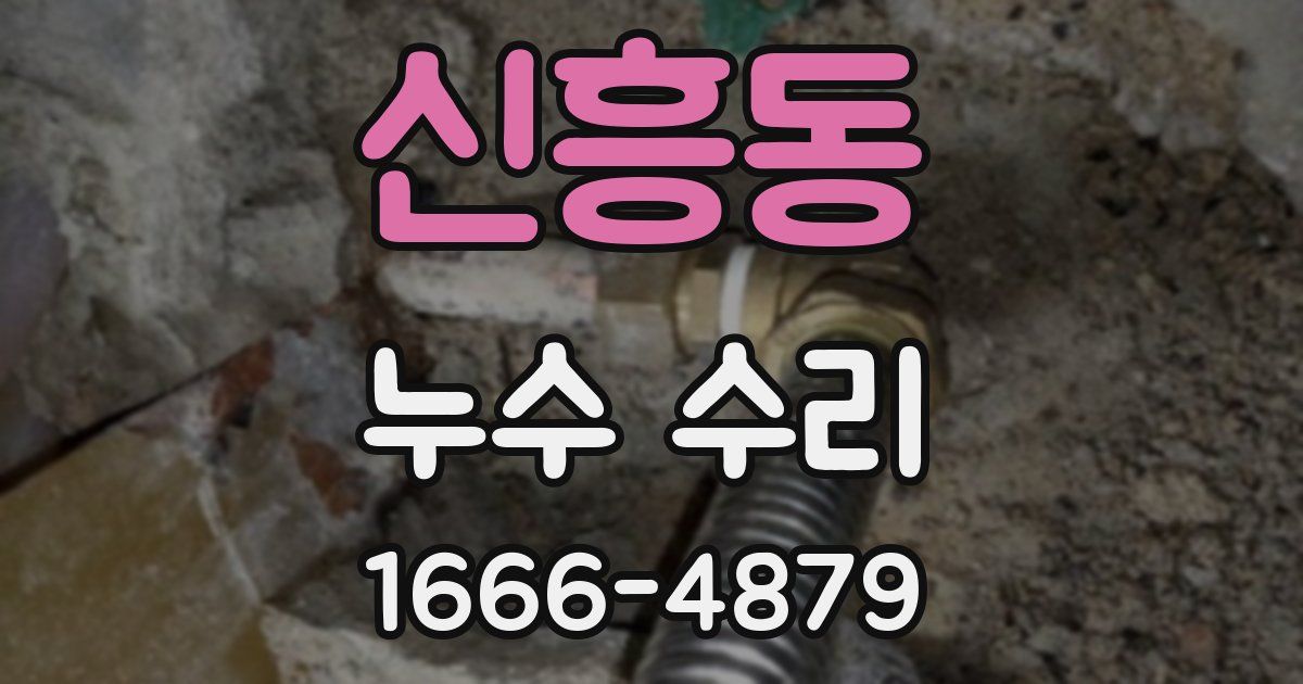 신흥동 누수 수리