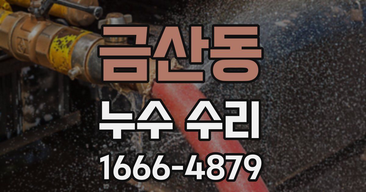 금산동 누수 수리