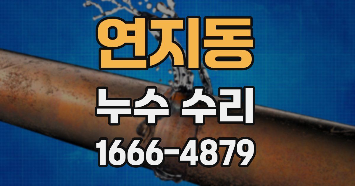 연지동 누수 수리