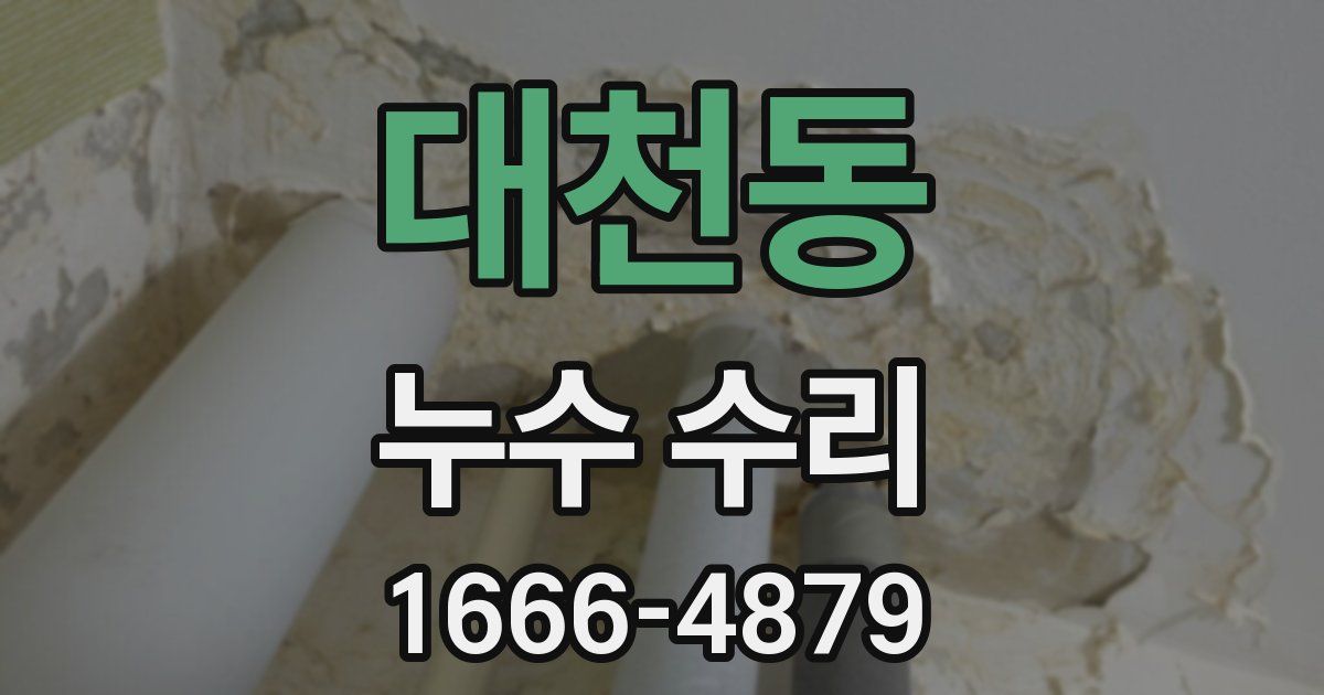 대천동 누수 수리
