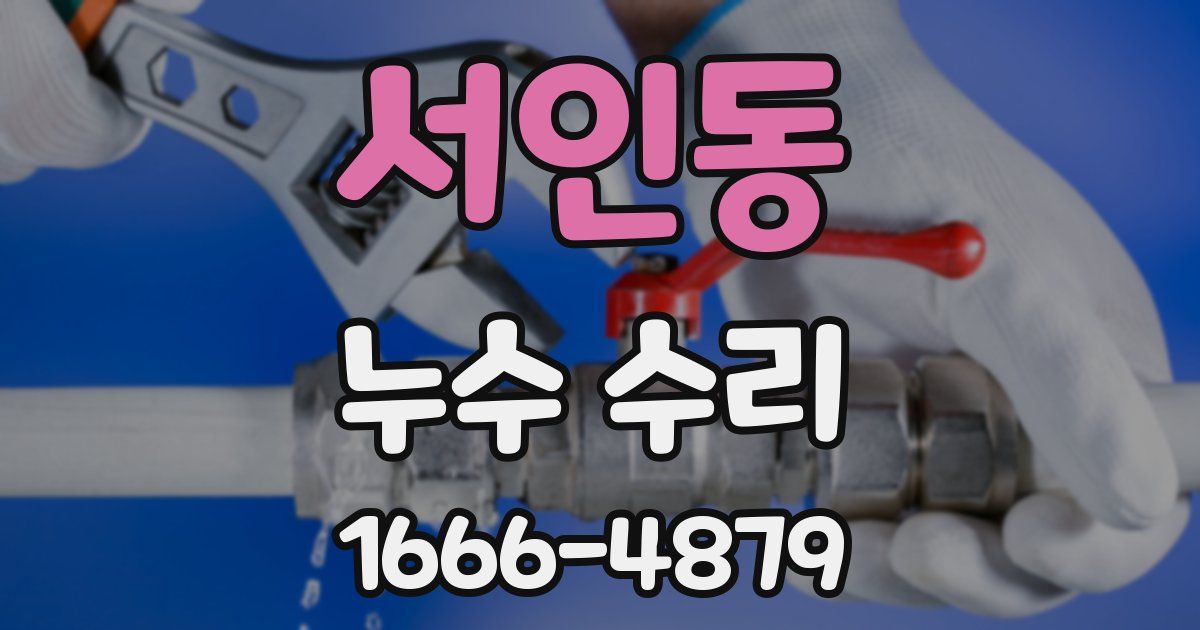 서인동 누수 수리