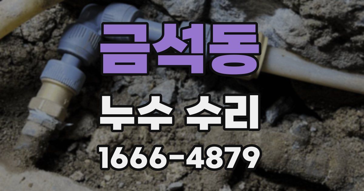 금석동 누수 수리