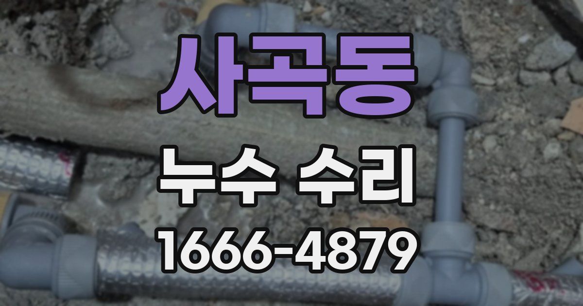 사곡동 누수 수리
