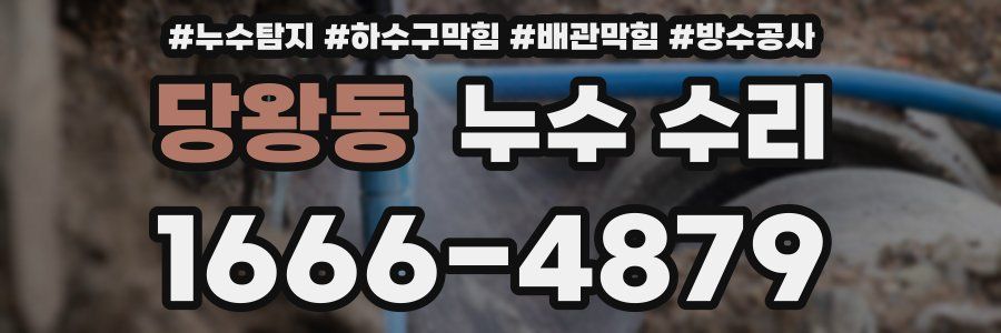 당왕동 누수 수리