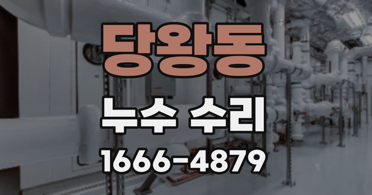 당왕동 누수 수리