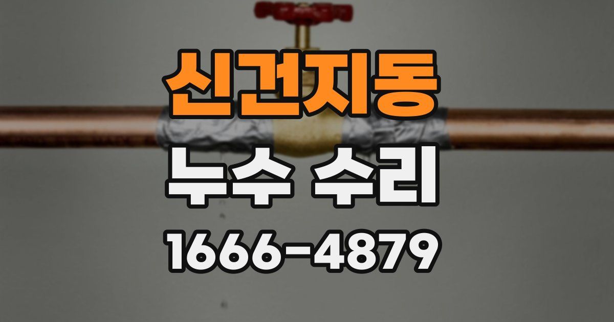 신건지동 누수 수리