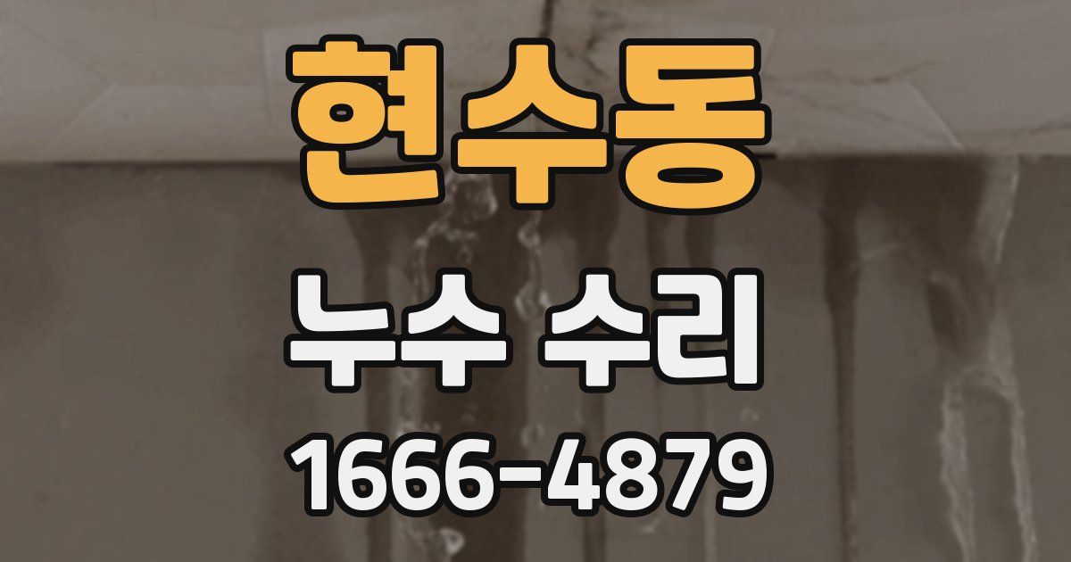 현수동 누수 수리