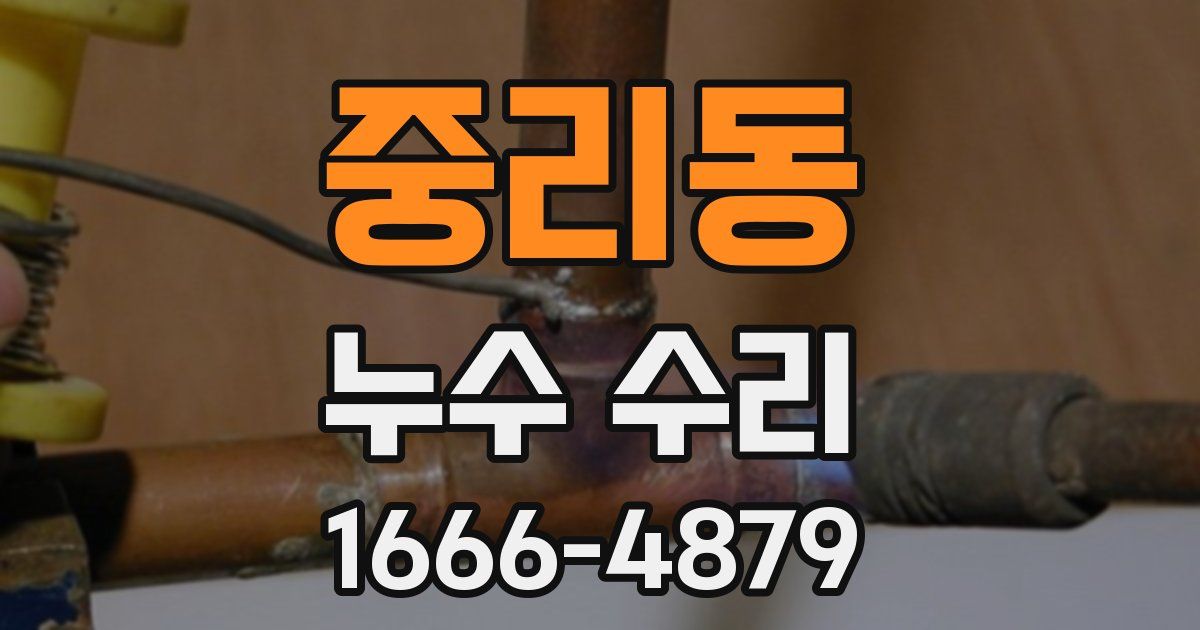중리동 누수 수리