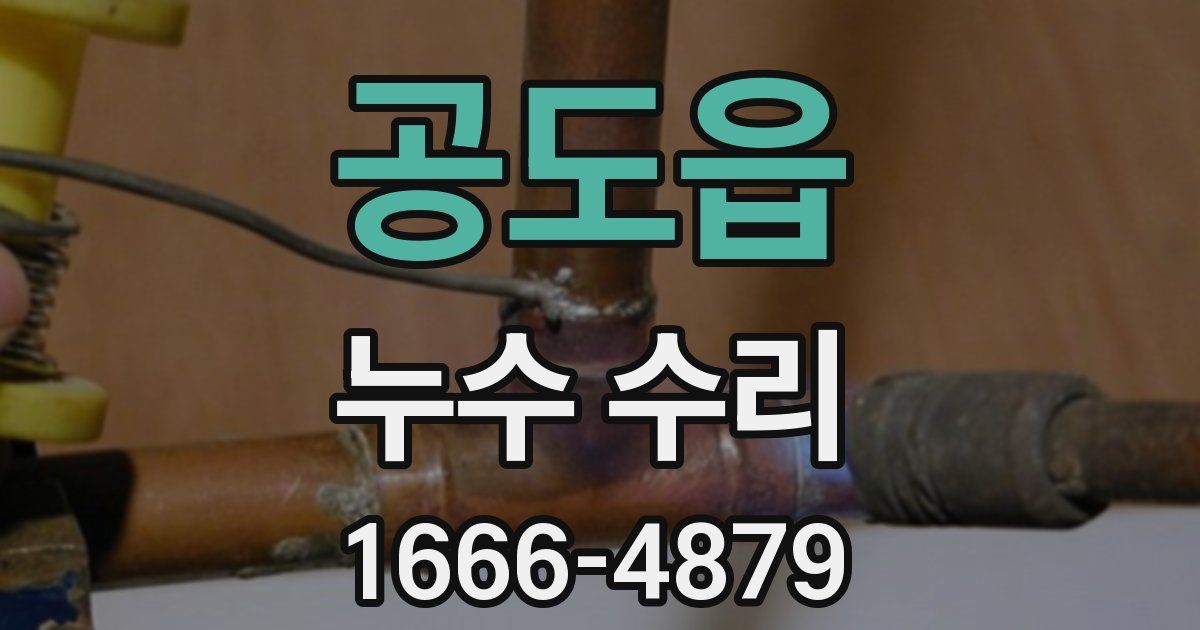 공도읍 누수 수리