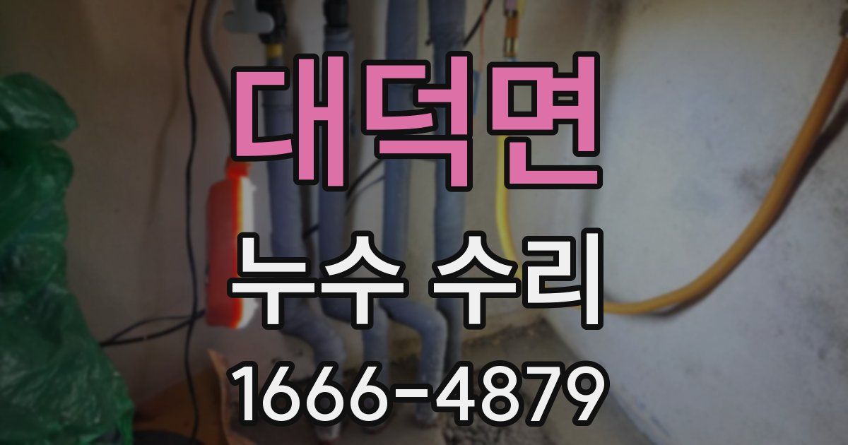 대덕면 누수 수리