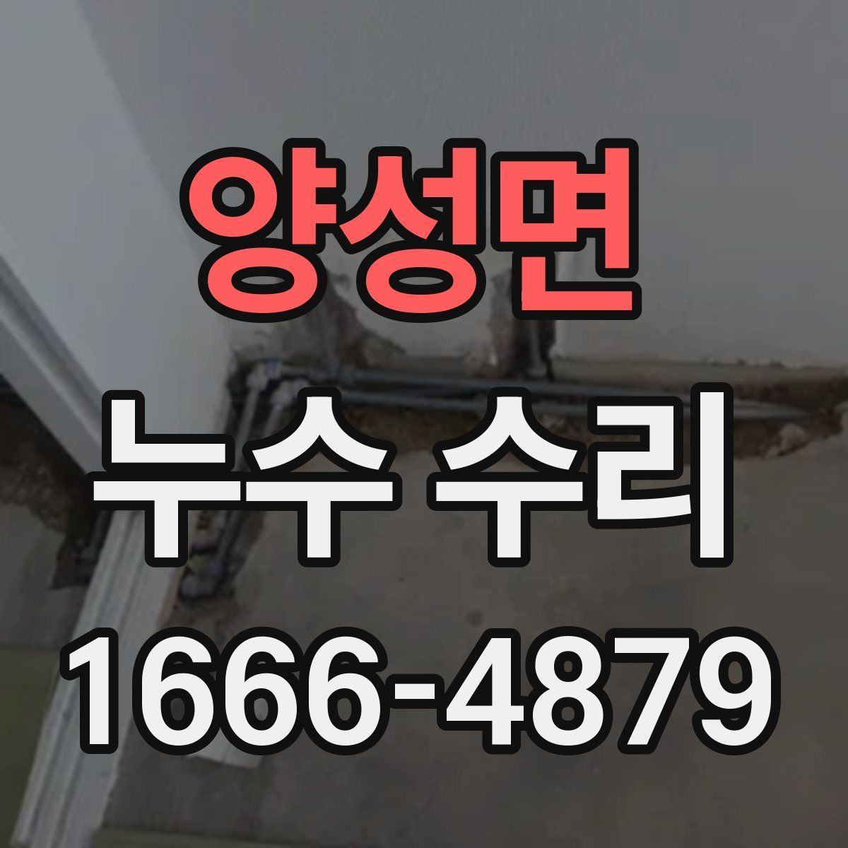 양성면 누수 수리