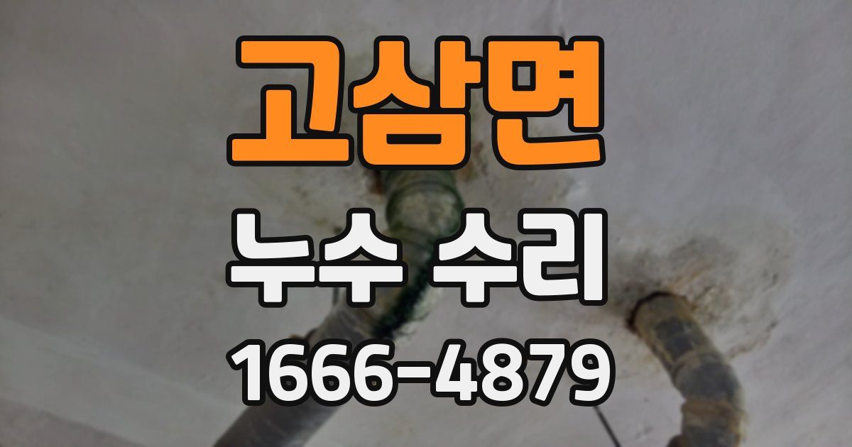 고삼면 누수 수리