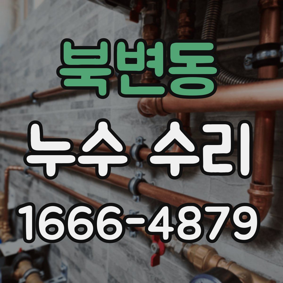 북변동 누수 수리