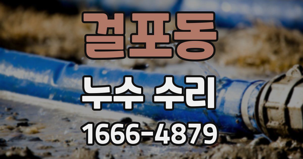걸포동 누수 수리