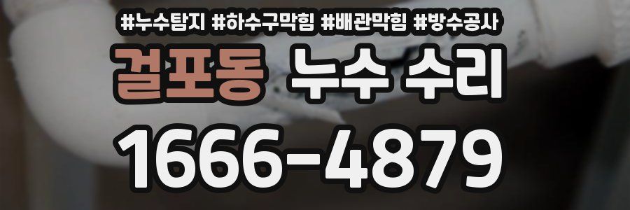 걸포동 누수 수리