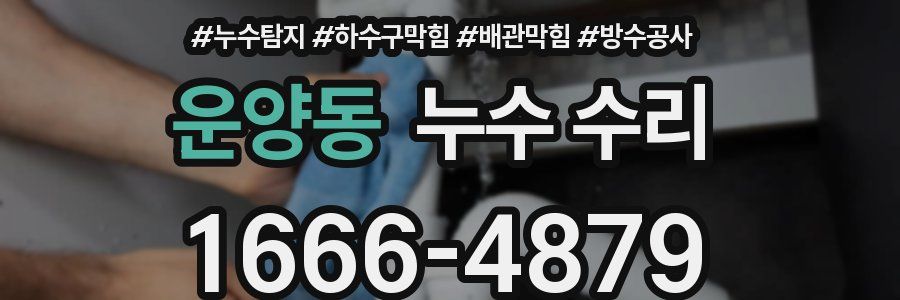 운양동 누수 수리