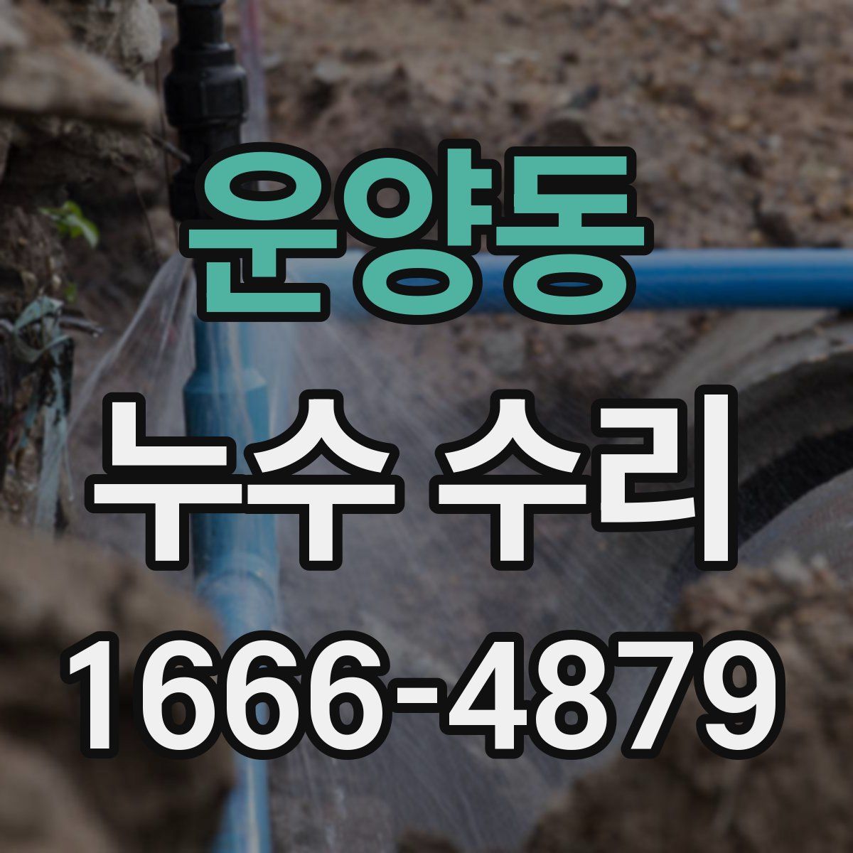 운양동 누수 수리
