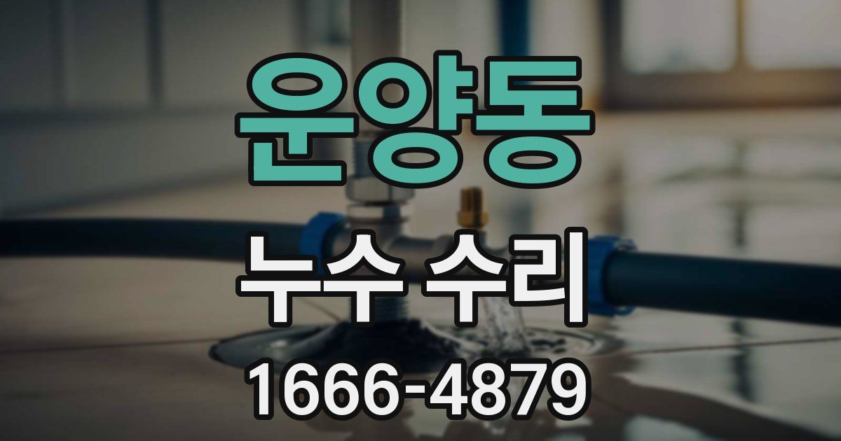 운양동 누수 수리