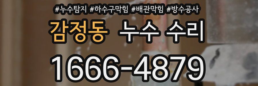 감정동 누수 수리