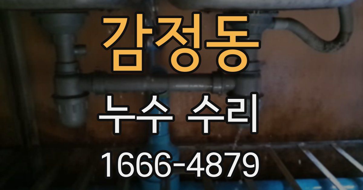 감정동 누수 수리