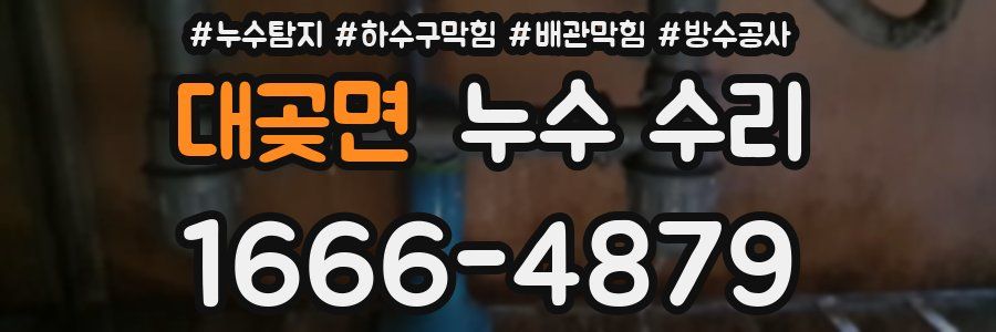 대곶면 누수 수리