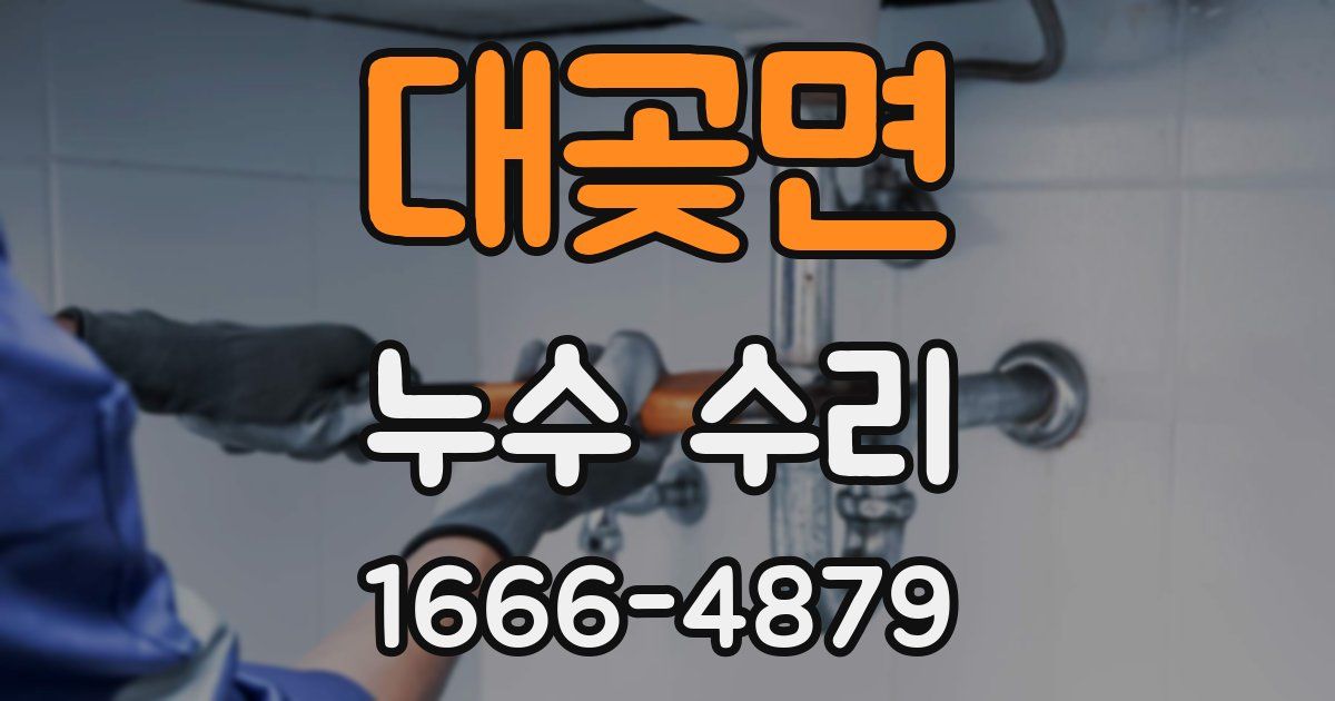 대곶면 누수 수리