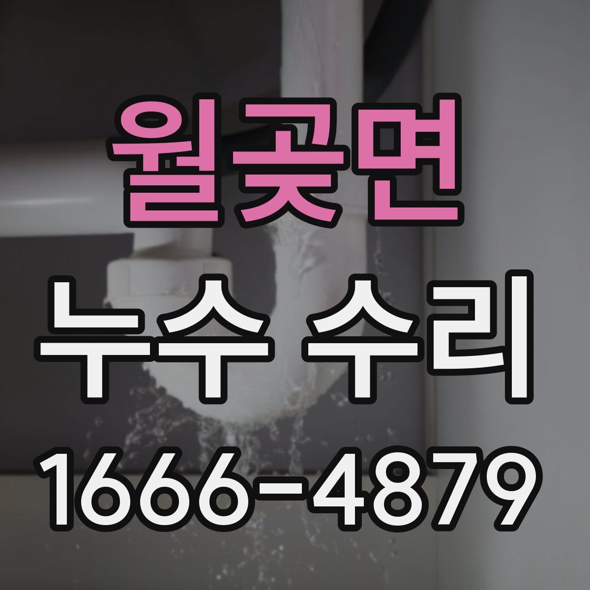 월곶면 누수 수리