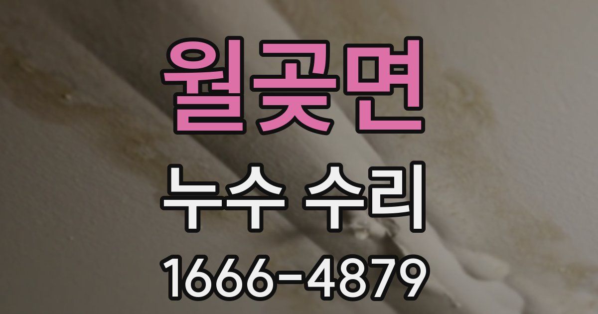 월곶면 누수 수리