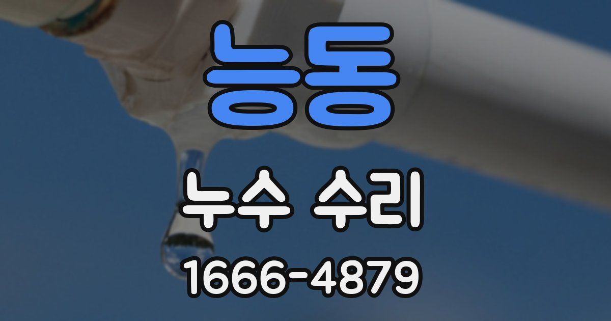 능동 누수 수리